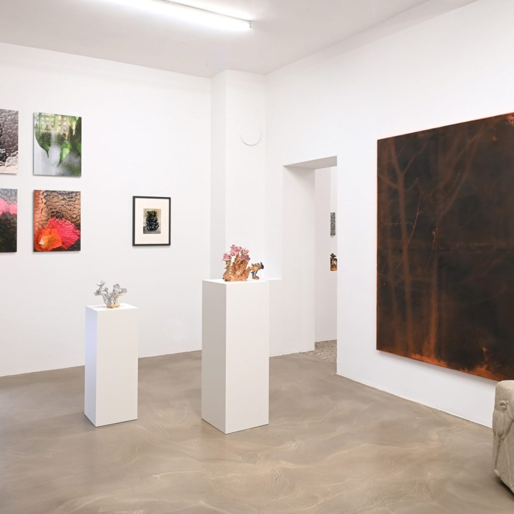 Photo credits: Dr. Annette Emde, Emde Galerie Mainz